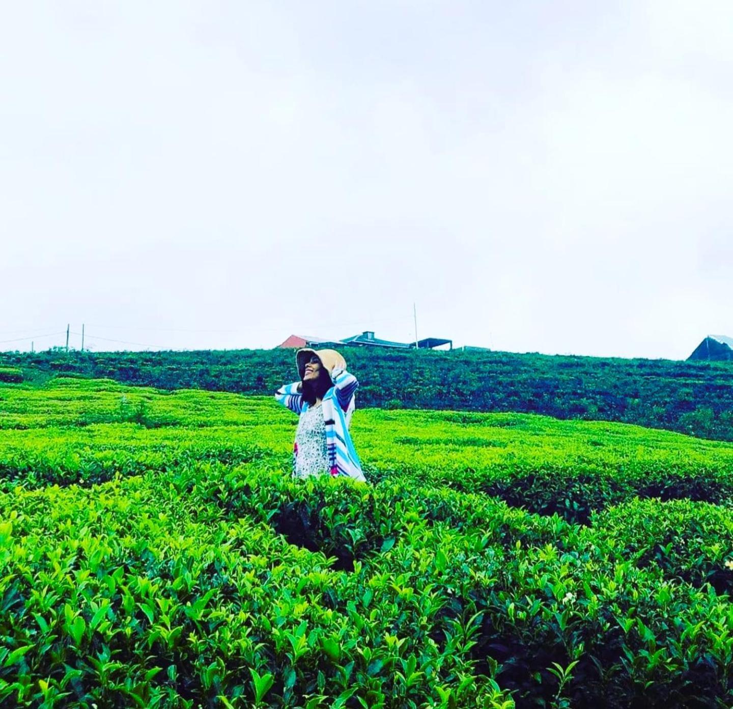 The Tea Garden Villa Nuwara Eliya Eksteriør bilde