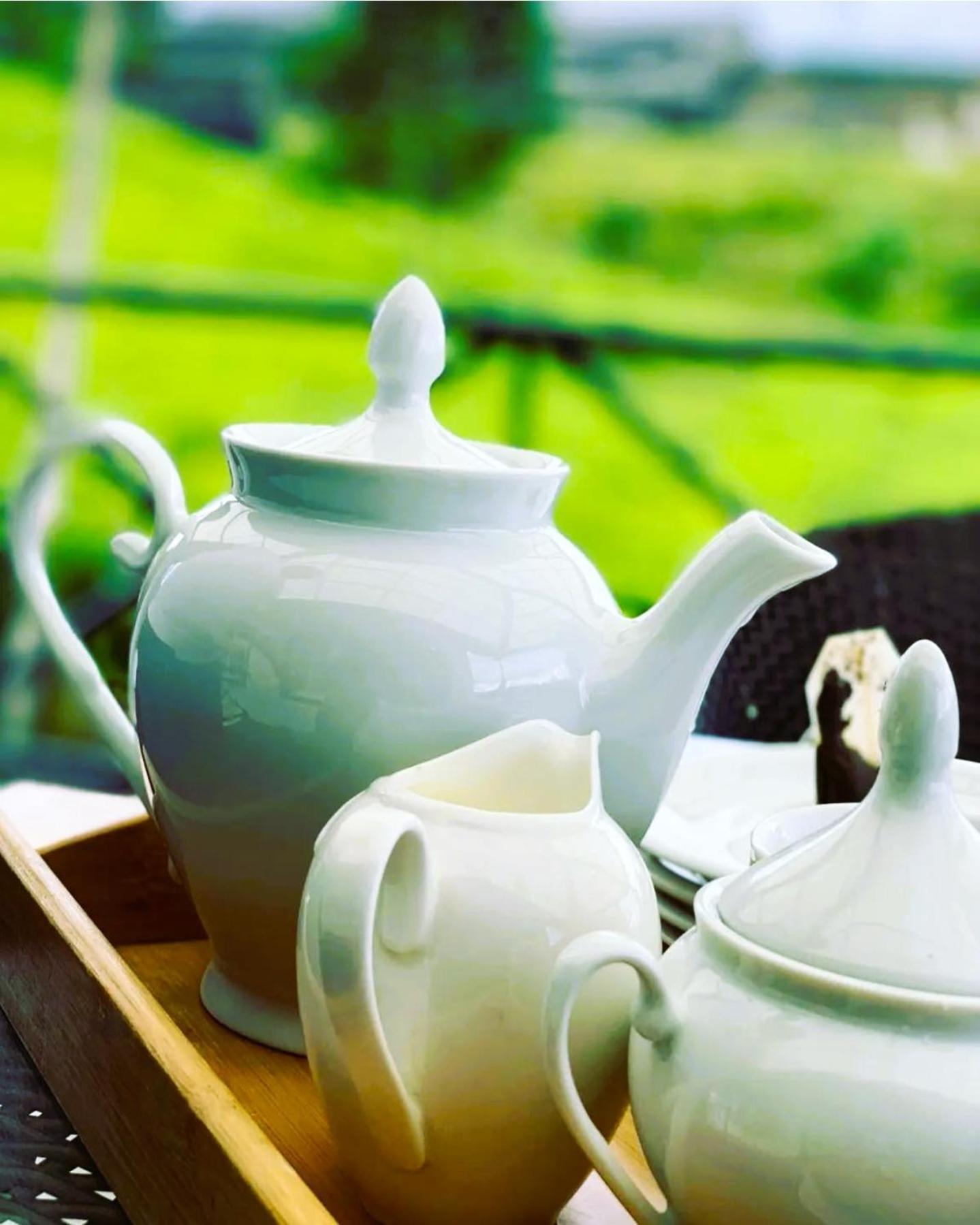 The Tea Garden Villa Nuwara Eliya Eksteriør bilde